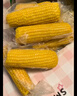 京鲜生【有机】内蒙古敖汉白甜糯玉米礼盒装200g×8根源头直发包邮 实拍图