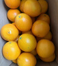 玖原农珍 赣南脐橙新鲜橙子含箱10斤净重9斤优选果150-300g 年货水果礼盒 实拍图