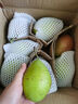 京鲜生 河北酥润香梨 净重3斤 单果120g+ 源头直发 实拍图