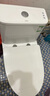 九牧（JOMOO）11173-2-1/31KD-3大力神家用马桶虹吸抗菌节水洁具305坑距 实拍图