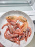 美加佳头籽熟冻北极甜虾净重3斤 规格80/100 头籽率50% 熟冻 海鲜水产 实拍图
