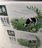 伊利金典纯牛奶整箱 200ml*12盒 3.6g乳蛋白 原生高钙 礼盒装 实拍图