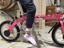 大行（DAHON）折叠自行车14英寸超轻便携小轮男女式单车BYA412 粉色 晒单实拍图