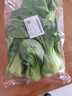 上海青约500g(油菜) 实拍图