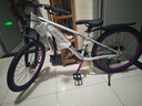 凤凰山地车自行车成年人男士女士学生变速碟刹减震全轴承山地自行车 月光银/碳钢架/铝合金双层辐条轮 24英寸（身高145-170左右） 24速-标准变速 晒单实拍图