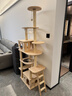 派阿哥实木太空舱猫窝大型猫爬架豪华剑麻猫树一体猫咪跳台太空舱猫架子 195cm 7层 P72【195*110*40】 轻奢松木板+实木剑麻柱 实拍图