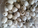 十月稻田 莲子 250g 半斤 湘潭产去芯磨皮白莲子 桂圆百合银耳羹煲汤食材  实拍图