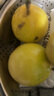 京鲜生 黄金百香果 1斤装 约6-8粒 单果约70g 酸甜钦蜜 新鲜水果 实拍图