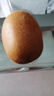 佳沛（zespri）新西兰  阳光金奇异果18粒礼盒优选果单果约101-124g 猕猴桃水果 实拍图