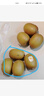 佳沛（zespri）新西兰  阳光金奇异果18粒礼盒优选果单果约101-124g 猕猴桃水果 实拍图