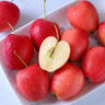 映棠 东北鸡心果5斤【顺丰快递—多地次日达】海棠果玫瑰小苹果礼盒装 3斤大果【人工精选】 现摘现发 实拍图