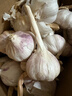 京鲜生山东金乡大蒜带皮新鲜干蒜净重3斤单果4.5cm起源头直发包邮 实拍图