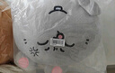 名创优品（MINISO）大鼠暖手抱枕 毛绒公仔沙发靠枕办公室午睡枕床上玩偶 实拍图