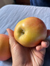 甜醉了 烟台苹果栖霞红富士新鲜水果生鲜山东特产脆甜整箱平果礼盒礼品 18枚单果75-80mm(净重约8斤) 实拍图