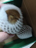 佳沛（zespri）新西兰  阳光金奇异果6粒装 单果约77-103g  源头直发  猕猴桃 实拍图