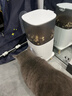 霍曼（Homerun）Real智能自动喂食器猫粮狗粮定时猫咪自动投食器（配陶瓷碗） 实拍图