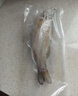仙泉湖冷冻白蕉海鲈鱼2斤 肉厚刺少生鲜水产食材1斤*2条 生鲜食材 实拍图