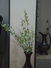 京东鲜花繁花雪柳枝3大支仿真花假花绿植装饰客厅餐桌玄关插花艺花束拍照 实拍图