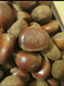 丹东板栗新鲜当季东北特产野生锥栗大果甜糯毛栗子现摘整箱包邮 单果22mm+ 250g 实拍图