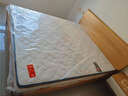 喜临门乳胶椰棕床垫抗菌防螨独袋弹簧床垫 梦蝶旗舰版1.8x2米 软硬适中 实拍图
