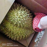 京鲜生 进口金枕头榴莲 净重6-7斤 1个装  鲜果 生鲜 新鲜水果 实拍图