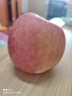 京鲜生 烟台红富士苹果 8粒装 单果160-190g 生鲜水果 实拍图