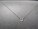 法蔻（farcoko）银镶钻项链女欧美小马蹄锁骨链简约颈链圣诞情人节生日礼物送女友 小马蹄镶钻项链 实拍图