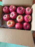 静宁苹果 【顺丰到家】甘肃红富士苹果水果 新鲜应季静宁苹果 10-12枚90-100mm王净重8斤严选装 实拍图