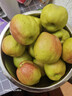 京鲜生 新疆库尔勒香梨 净重8斤 单果140g以上 生鲜水果 礼盒装 实拍图