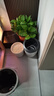德沃多肥料自动吸水盆5号*3花盆懒人盆可储水创意简约家庭阳台树脂花盆种菜 实拍图
