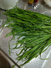 【有机】韭菜250g 实拍图
