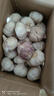 精选新鲜山东大蒜干蒜多瓣蒜头蔬菜批发产地直发大蒜头 优选 3斤 (果径≥3.5cm) 实拍图