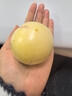 译蒙之味正宗云南人参果圆果树上熟人生果水果当季孕妇新鲜大果清甜整箱 甄选果王5斤单果110g以上礼盒 实拍图