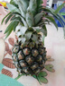 广东徐闻香水菠萝新鲜水果生鲜热带孕妇水果整箱包邮 【限时低价】1个装  单果650g起 实拍图