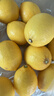 京鲜生 安岳黄柠檬16粒 单果95g-120g 生鲜水果 实拍图