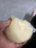 山东丰水梨子新鲜水果黄皮花脆甜酥翠冠酥雪梨当季采摘源头直发 【4.5斤礼盒装】秋月梨6个 实拍图