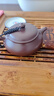 藏壶天下【政府补贴】宜兴紫砂壶纯手工茶壶紫茄泥小容量家用泡茶壶明炉壶 实拍图