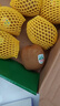 佳沛（zespri）绿奇异果 优选大果12粒单果约113-135g  水果 猕猴桃 实拍图