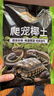 德沃多肥料爬宠椰土3L乌龟土蜗牛土爬宠垫材用品寄居蟹角蛙苔藓保暖过冬 实拍图