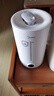 美的（Midea）加湿器净化除菌家用卧室超声波大雾量宿舍静音喷雾器桌面雾化器取暖降噪生日礼物国家补贴S-UV98K 实拍图