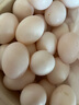 均鲜新鲜土鸽子蛋杂粮喂养农家特产白鸽蛋信鸽蛋孕妇宝宝年货节礼盒装 30枚750g左右精选大个种鸽蛋 实拍图