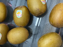 佳沛（zespri）新西兰 阳光金奇异果12粒礼盒特大果单果约122-146g 猕猴桃 水果 实拍图