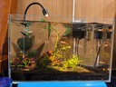 YEE鱼缸金晶超白金鱼裸缸8060家用客厅桌面小草缸龟缸玻璃生态溪流缸 35*20*22*5mm超白玻璃裸缸 实拍图