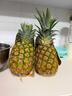 都乐Dole 进口无冠金菠萝 2只装 MAX金菠萝 单果1600g 实拍图