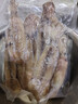 獐子岛 冷冻整只鱿鱼1斤 5-7条 铁板鱿鱼火锅烧烤食材 海鲜软足 实拍图