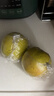 梨贡士隰县梨园 山西隰县玉露香梨 临汾馆玉露香梨脆甜多汁梨子特产 15颗中果（8斤装） 实拍图