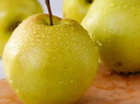 梨贡士隰县梨园 山西隰县玉露香梨 临汾馆玉露香梨脆甜多汁梨子特产 15颗中果（8斤装） 实拍图