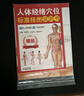 人体经络穴位标准挂图（男性）（3张）中医人体经络挂图 家庭保健养生医学 人体医学挂图 实拍图