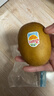 佳沛（zespri）新西兰  阳光金奇异果10粒礼盒巨大果单果约144-175g 水果 猕猴桃 实拍图