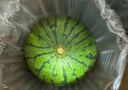 京鲜生 麒麟西瓜 1粒净重7-8斤 生鲜水果源头直发包邮 实拍图